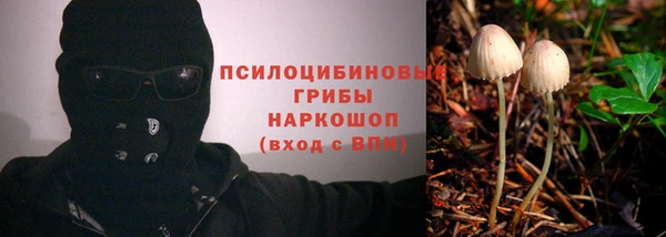амф Абдулино
