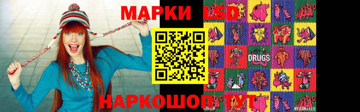Камышлов  LSD-25 экстази  Вход с VPN  Лсд 25 экстази кислота  ЛСД экстази кислота 