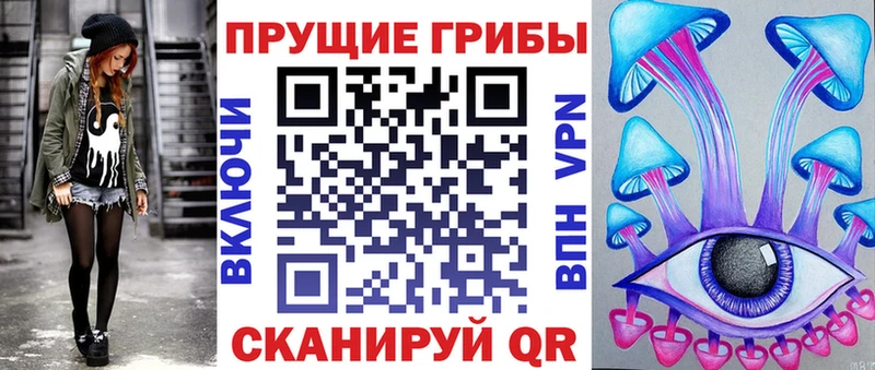 Галлюциногенные грибы Psilocybe  купить наркотик  мега зеркало  Камышлов 