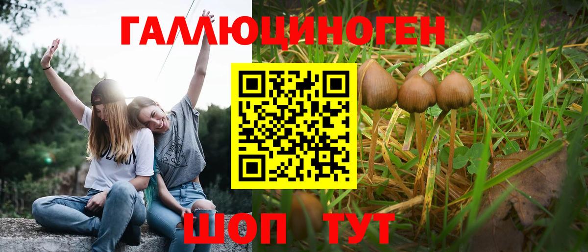 Псилоцибиновые грибы MAGIC MUSHROOMS  Вход с VPN  наркота  Камышлов 