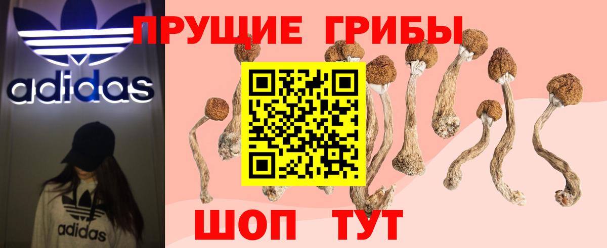 Псилоцибиновые грибы GOLDEN TEACHER Камышлов