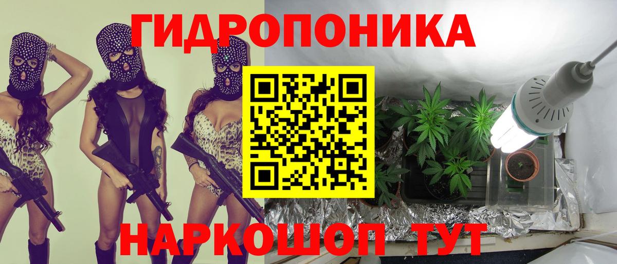 Бошки Шишки конопля  Марихуана планчик  Камышлов  Вход с VPN  МАРИХУАНА планчик 
